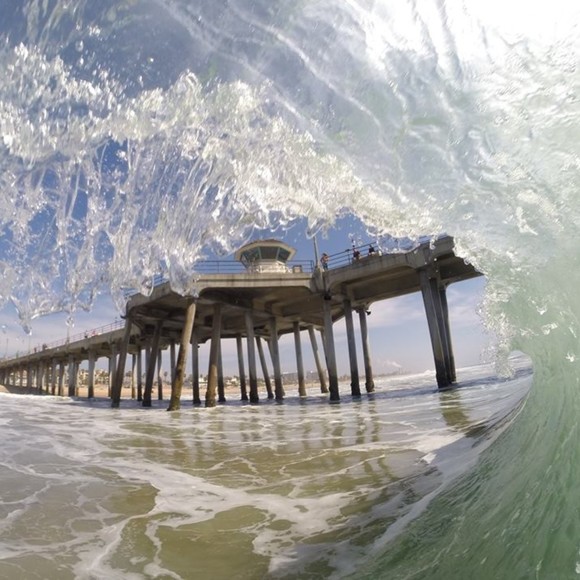 Meet your Posher, Jill - Picture 1 of 1